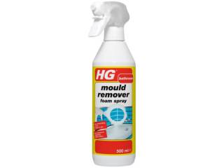 HG Mould Remover 500ml : 3172
